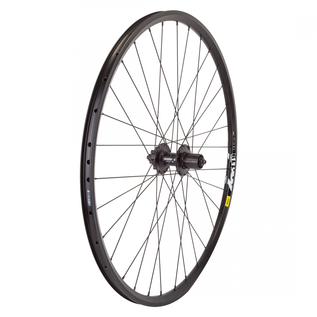29` Alloy Mountain Disc Double Wall