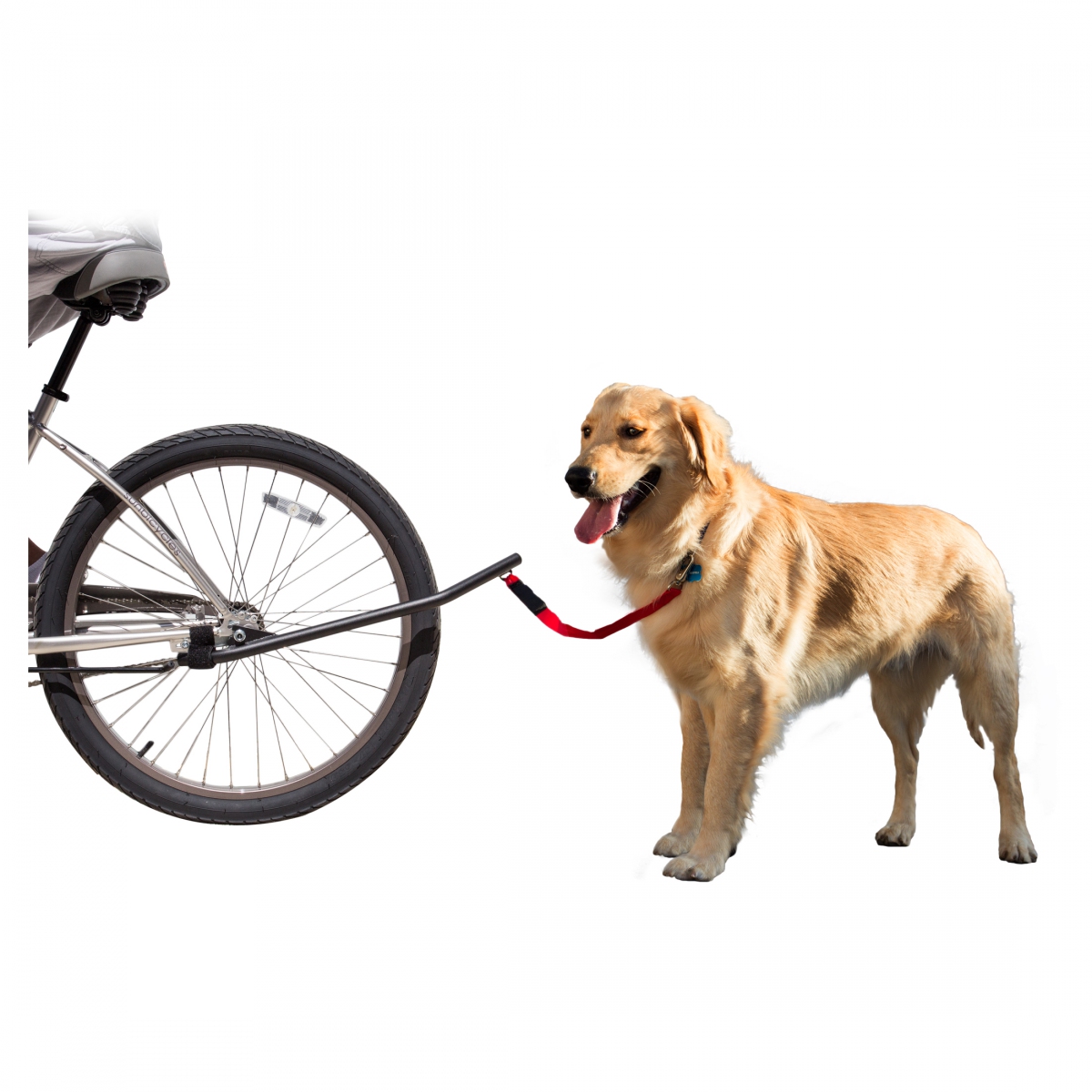 Bicycle Dog Leash